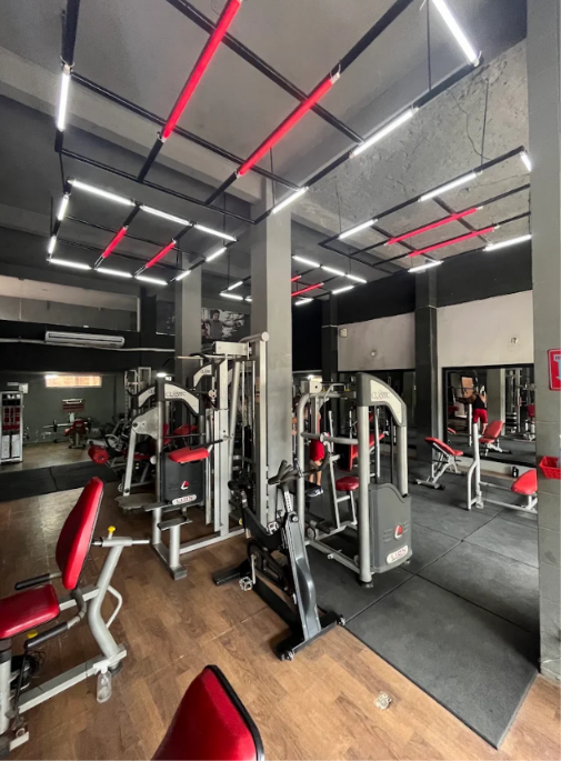 Maquinário Line Fitness